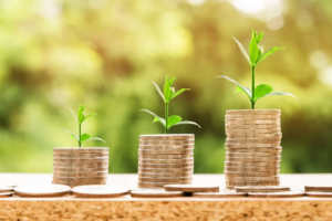 an illustration of an investment