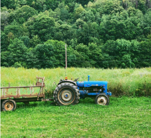 mowing