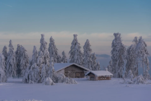 Home Winter
