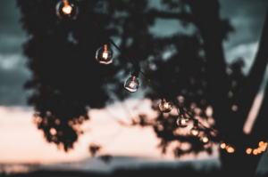 bulbs