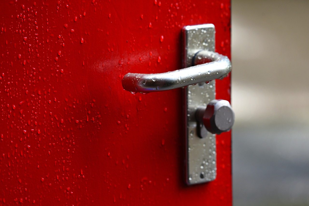 door 